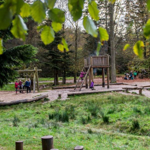 Die Familie spielt auf dem Naturspielplatz in Sønderskoven