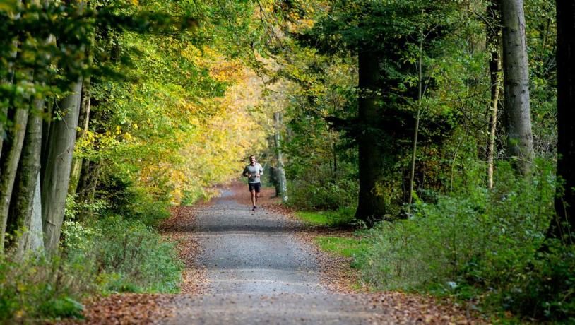 Eine Person joggt durch den Sønderskov Wald in Vejle.