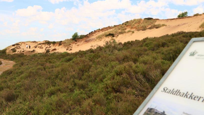 Blick auf die Staldbakkerne und Stoltenbjerg bei Randbøl Heide