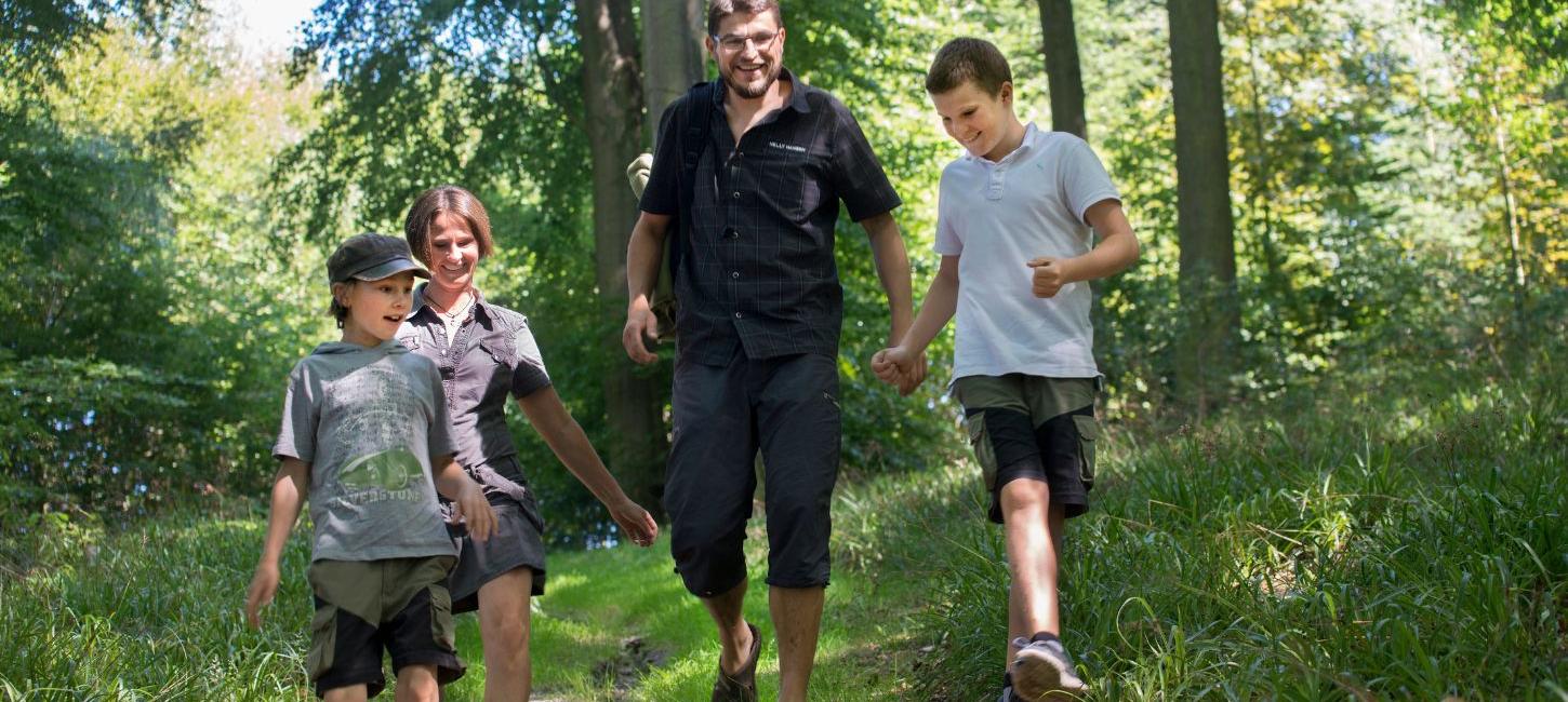 Familie auf einem Ausflug im Munkebjerg-Wald an einem Sommertag