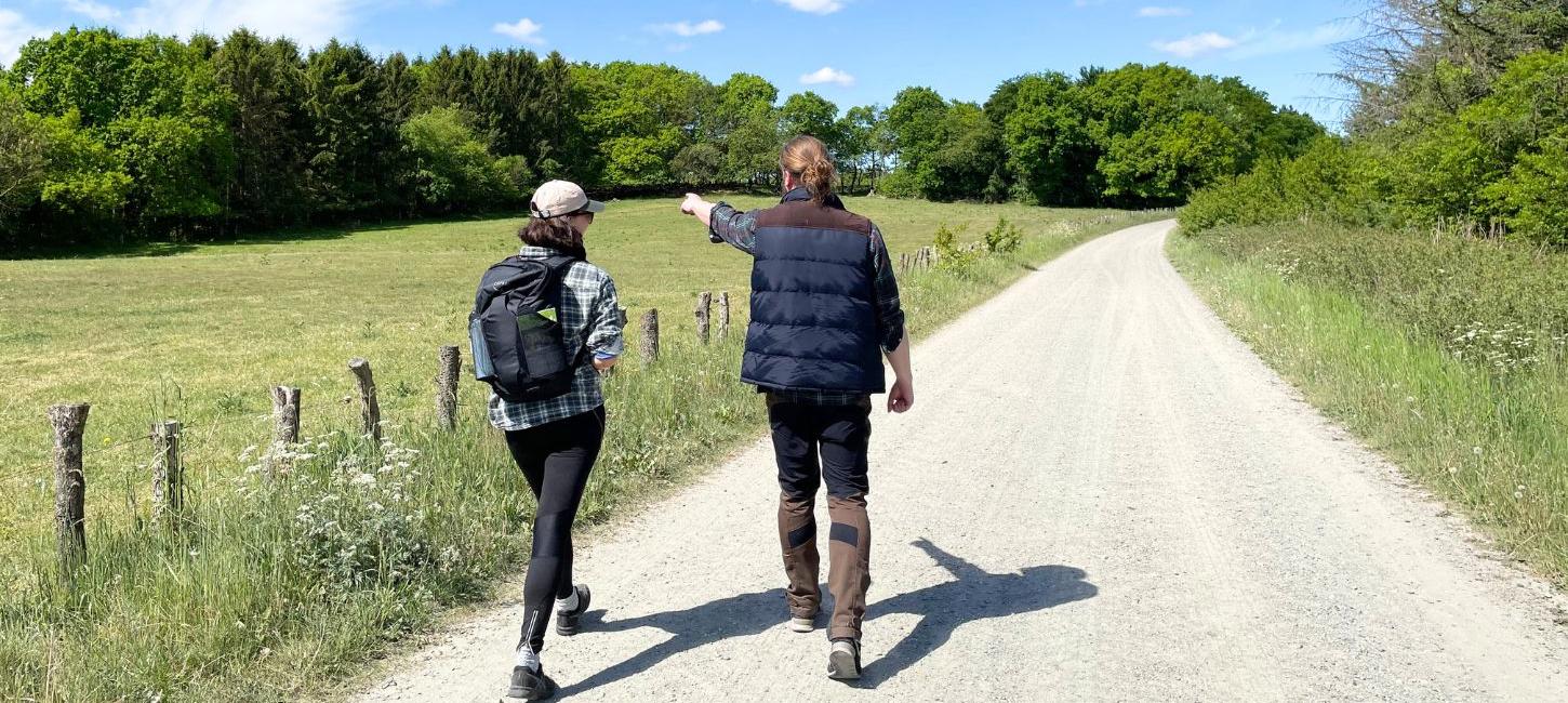 Zwei Menschen gehen im Sonnenschein auf dem Hærvejen spazieren