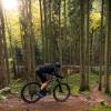 Radfahrer mit dem Mountainbike auf der Mountainbikestrecke in Nørreskoven