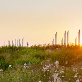 Jelling monumentområde med palisaderne ved solnedgang